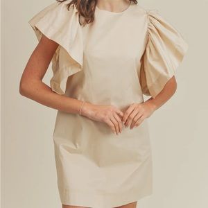 Never worn black dress with ruffle sleeves